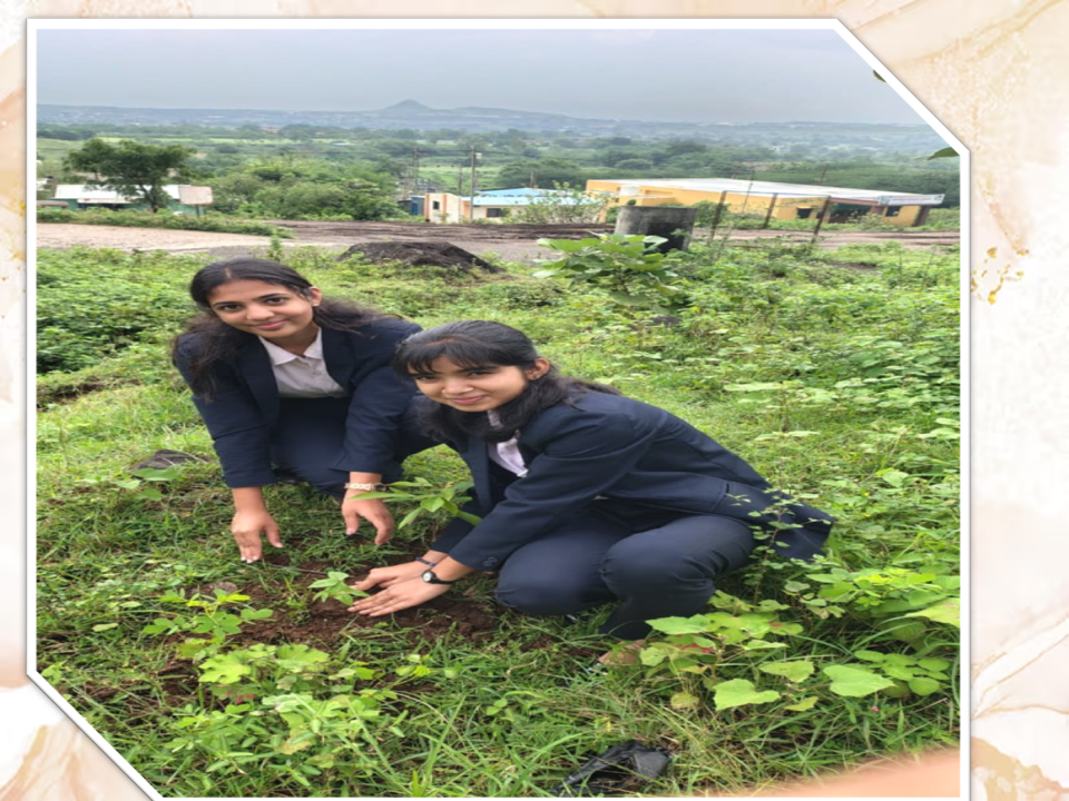 Tree plantation (Ramshej Fort)